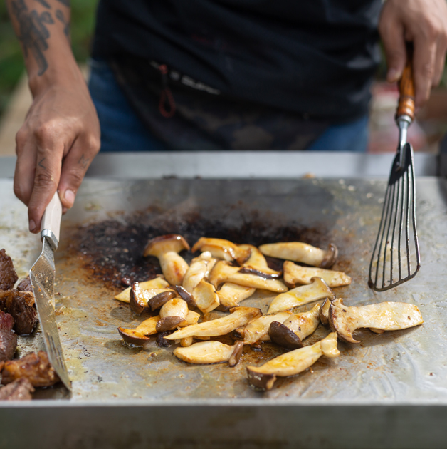 Plancha gaz ou électrique : différences clés