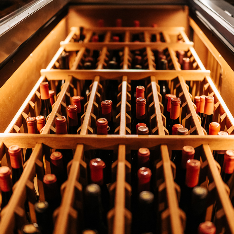 Température d’une cave à vin professionnelle : quels réglages selon les vins ?
